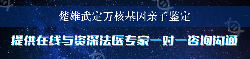 楚雄武定万核基因亲子鉴定